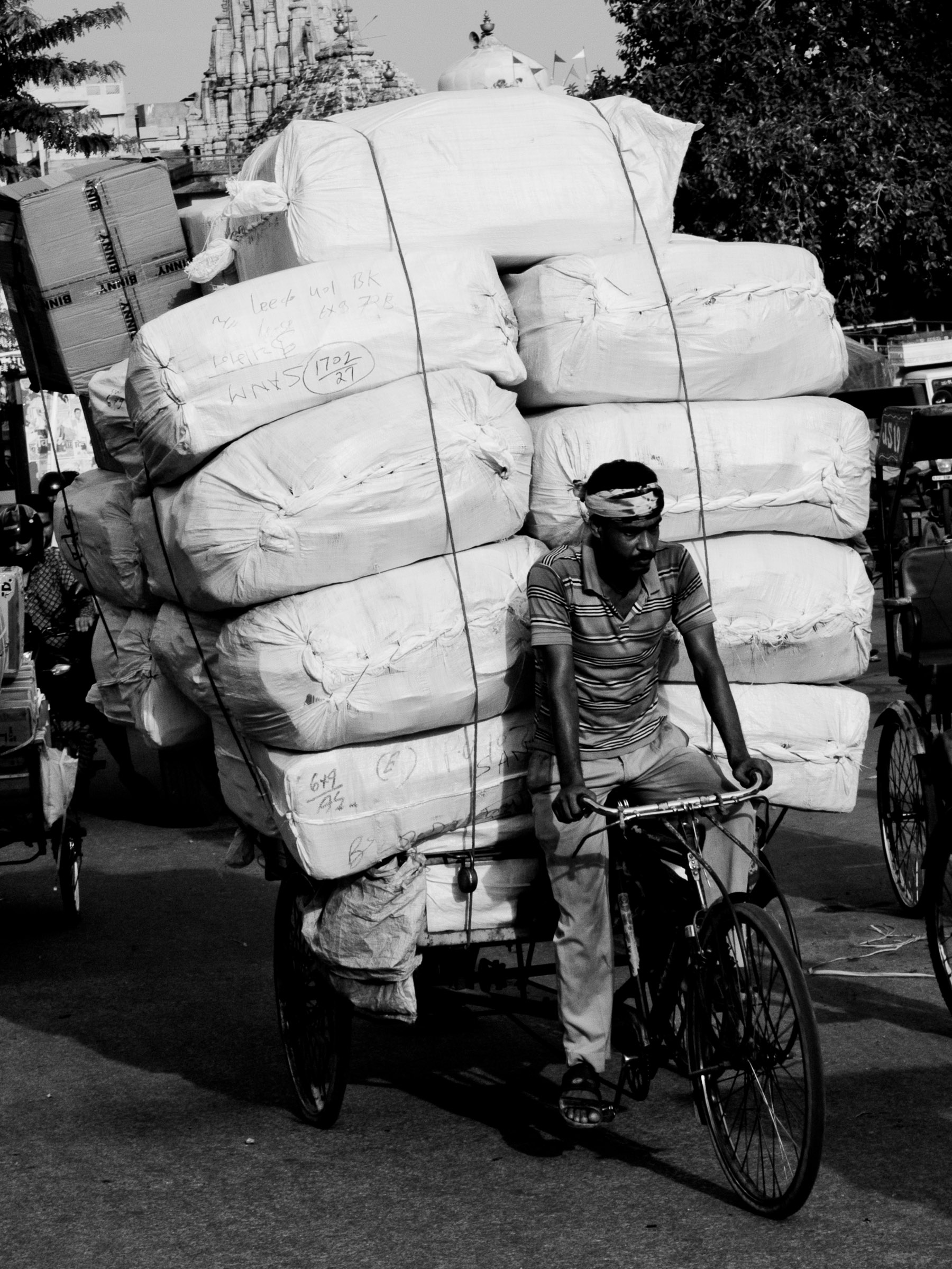 299216 3999139 india bicycle 2